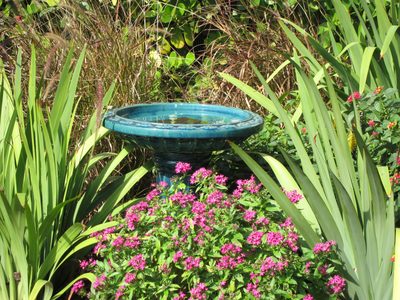 Bird bath nestled in the flowers
